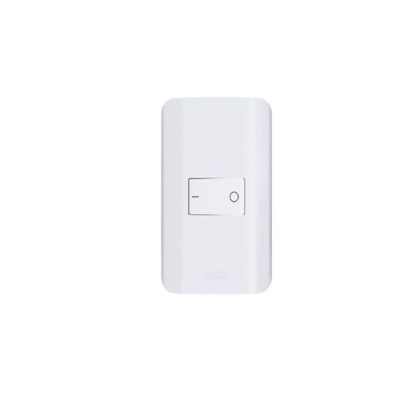 CONJUNTO 1 INTERRUPTOR BIPOLAR 25A CANOA ROMAZI