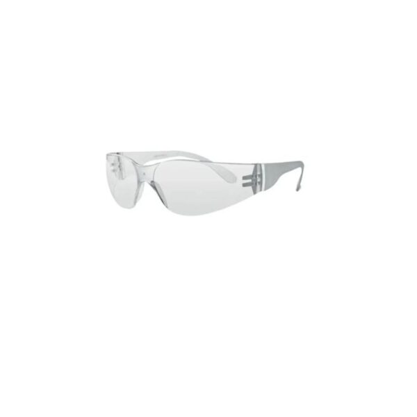 OCULOS SEG MINOTAURO INC CA 34410 PLASTCOR