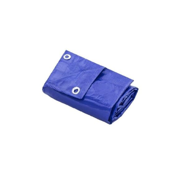 LONA AZUL 04X03 THOMPSON