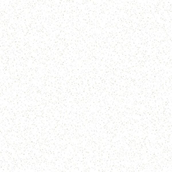 PORCELANATO 58X58 WAVE BEGE BRILHANTE CX 1,68M2 PAMESA