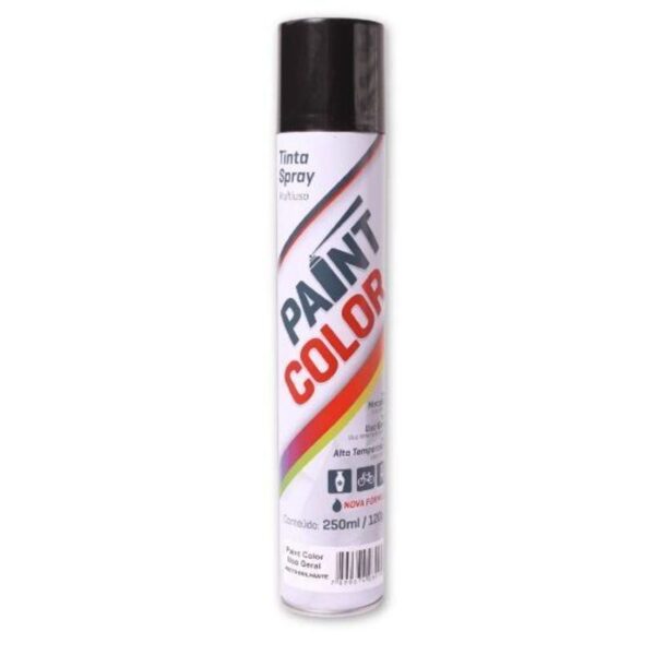TINTA U.G PRETO BRILHANTE 250ML PAINTCOLOR
